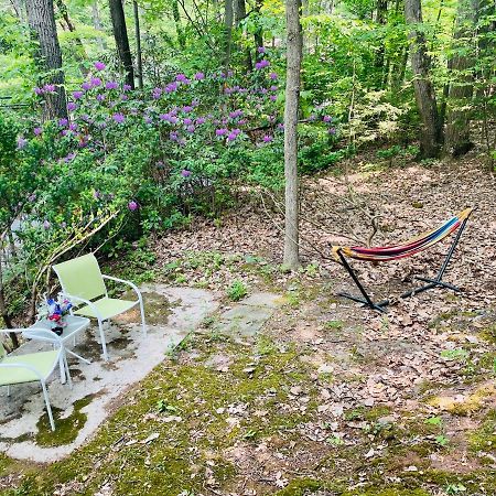 Modern Cabin With Hot Tub Grill Lake Beach Wineries Hiking Fishing And Hershey Park Family And Pet Friendly Superhosts On Ab&B Mount Gretna Luaran gambar